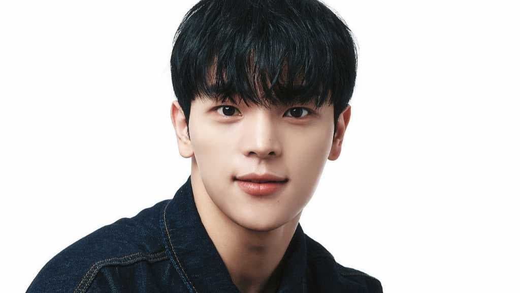 Stray Kids脱退メンバーは誰？8人体制の現在とウジンの真相