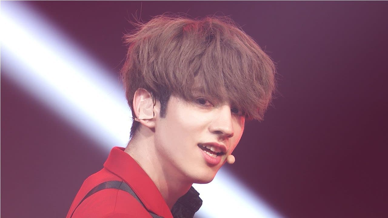 ヴァサイェガ光の現在：2026年、目撃情報と今後の可能性